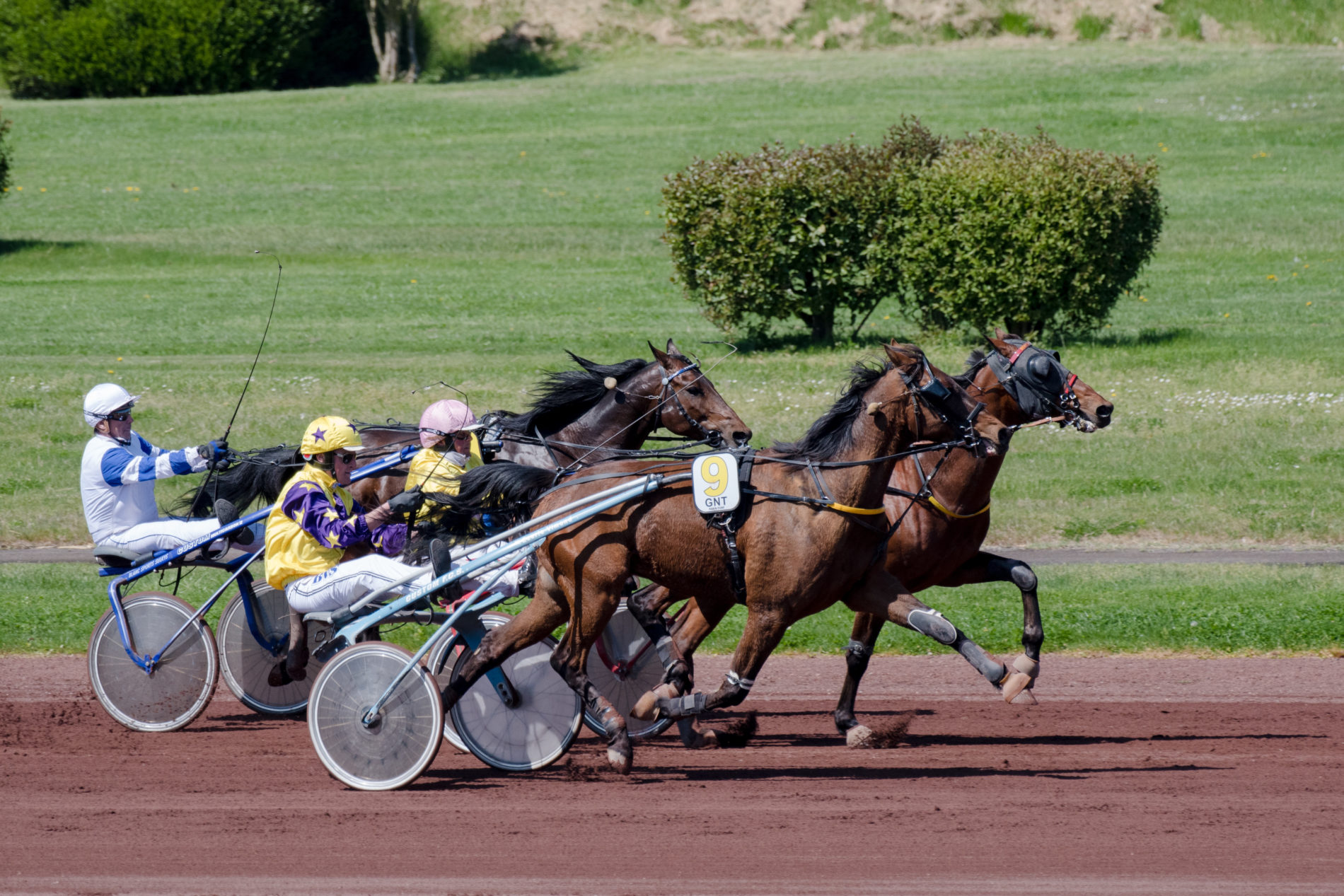 PIN'S SPORT EQUITATION Cheval Grand National Du Trot Le Mont
