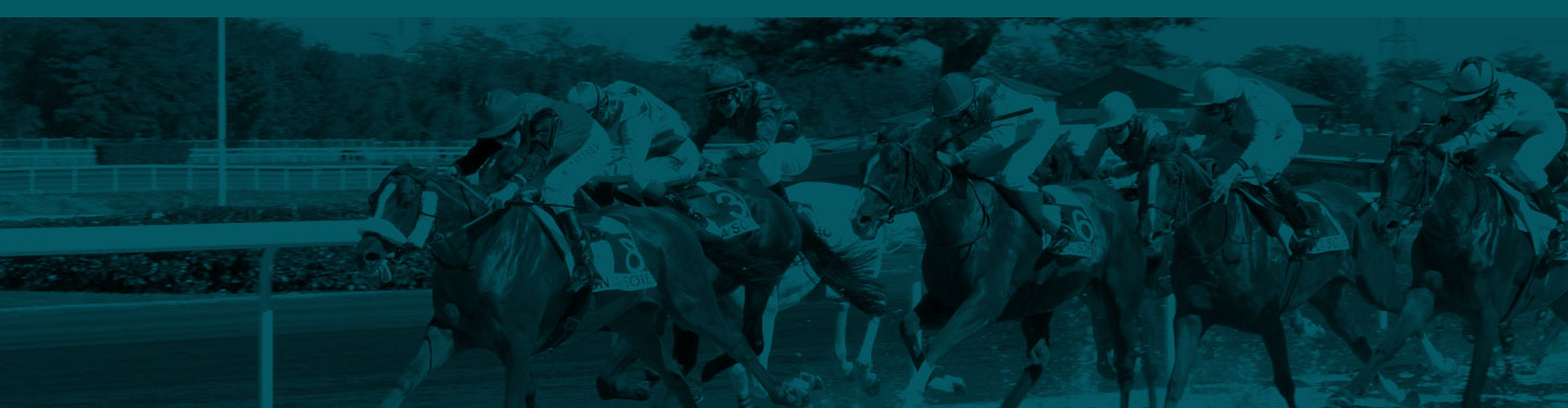 Résultat de recherche d'images pour "les decors pour un site de pmu chevaux"