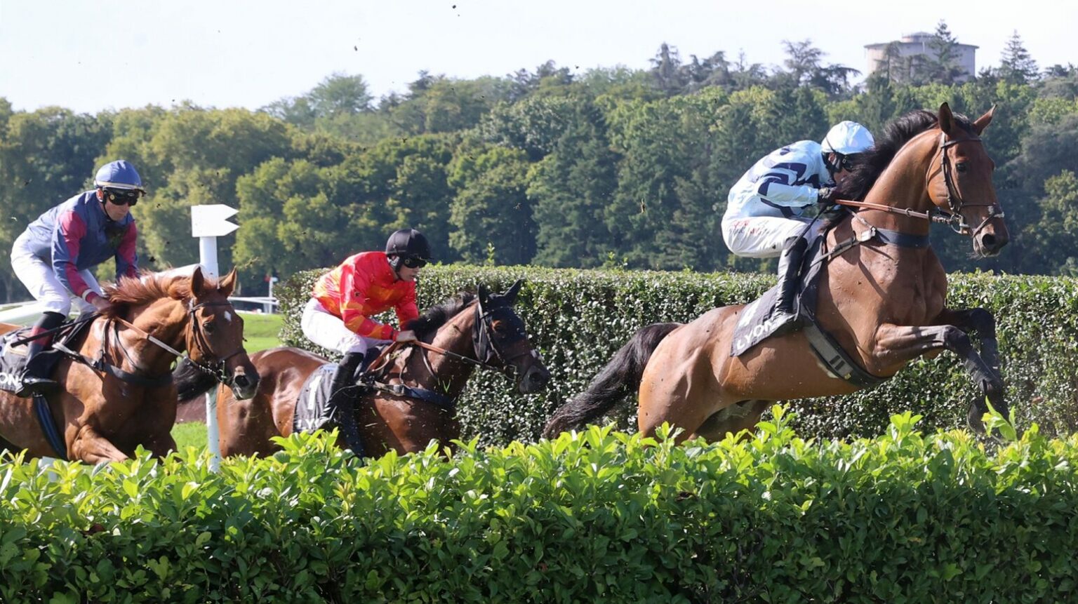 Les Hippodromes de Lyon