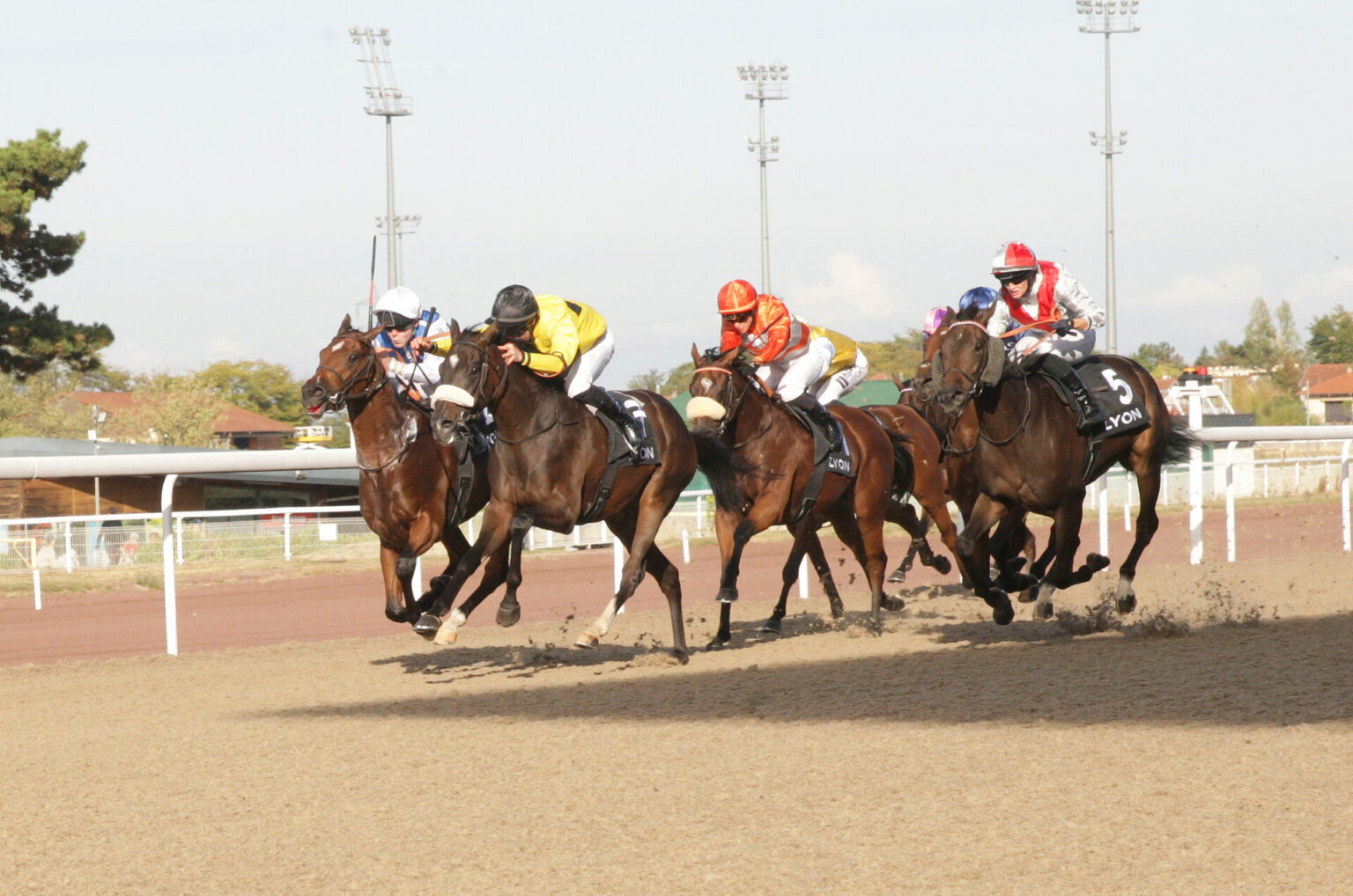 Les Hippodromes de Lyon